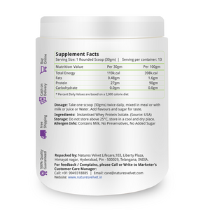 Whey Protein Isolate Powder - 400 GMS