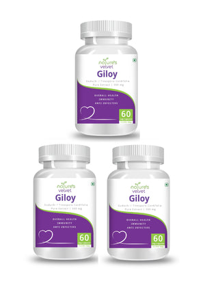 Giloy Extract 500mg for Immunity Boost- 60 Capsules
