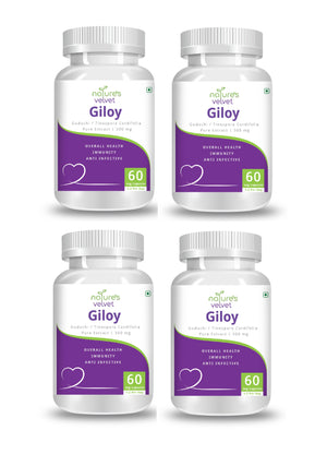 Giloy Extract 500mg for Immunity Boost- 60 Capsules