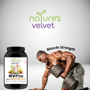 NVPRO - 100% Whey Protein - Natural And Vegetarian - 400 GMS