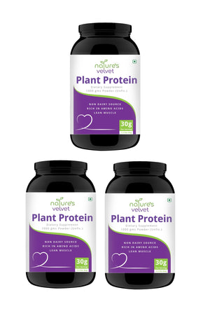 Plant Based Protein Powder - 100% Vegan - Rich In BCAAs