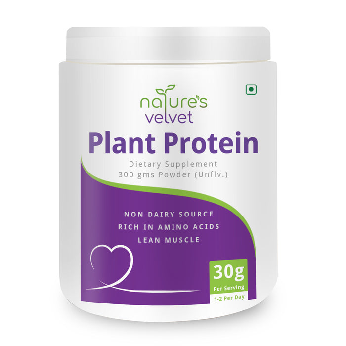 Plant Based Protein Powder - 100% Vegan - Rich In BCAAs