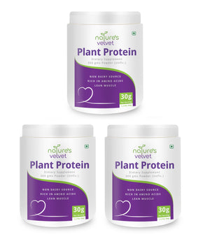 Plant Based Protein Powder - 100% Vegan - Rich In BCAAs