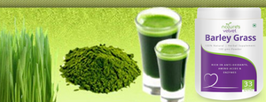 Barley Grass Powder