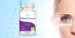 Bilberry Extract - Healthy Eyes & Antioxidant