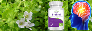 Brahmi - Mental Fitness