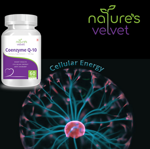 Coenzyme Q-10 - Heart Support