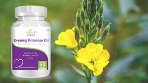 Evening Primrose Oil