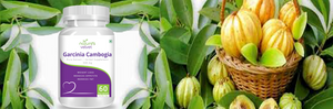 Garcinia Cambogia Pure Extract