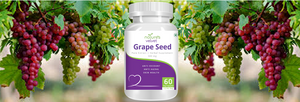 Grape Seed Extract - Antioxidant