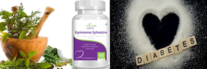 Gymnema Sylvestre - Supports Sugar Levels & Pancreas Function