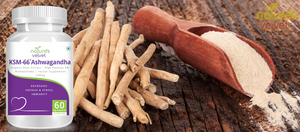 Organic KSM - 66 Ashwagandha - For Stress, Anxiety And Immunity