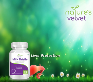 Liver Support With Milk Thistle