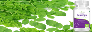 Moringa - Essential Protein & Nutrition - Pure Leaf Extact Capsule