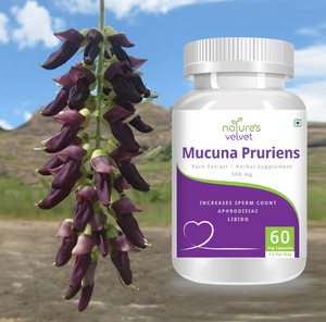 Mucuna Pruriens Pure Extract 500 mg, 60 Veggie Capsules