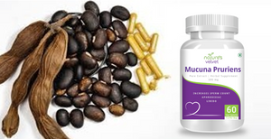 Mucuna Pruriens Pure Extract 500 mg, 60 Veggie Capsules