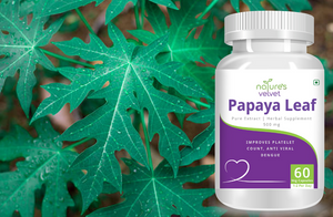 Papaya Leaf Extract - Blood Platelet Boost