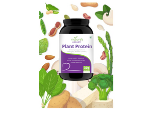Plant Based Protein Powder - 100% Vegan - Rich In BCAAs