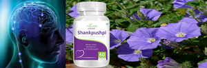 Shankpushpi Pure Extract - Supports Healthy Nervous System