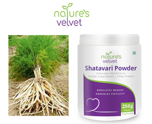 Natures Velvet Shatavari Asparagus racemosus Powder 250g