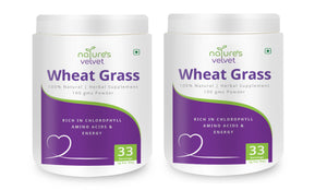 Wheat Grass Powder - Rich in Chlorophyll, Amino Acids & Energy - 100 GMS Powder