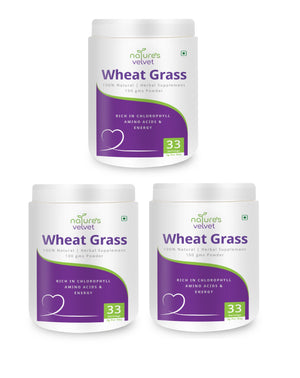 Wheat Grass Powder - Rich in Chlorophyll, Amino Acids & Energy - 100 GMS Powder