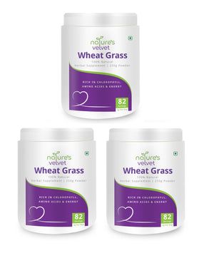 Wheat Grass Powder - Rich in Chlorophyll, Amino Acids & Energy - 100 GMS Powder