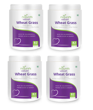 Wheat Grass Powder - Rich in Chlorophyll, Amino Acids & Energy - 100 GMS Powder